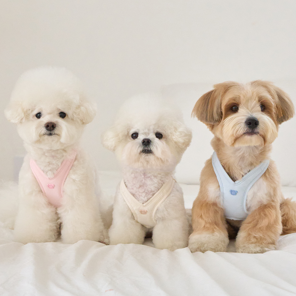 베니즈 강아지 하네스 소형견 가슴줄 산책줄 세트 에어리 아이보리 S - 상세 이미지 2