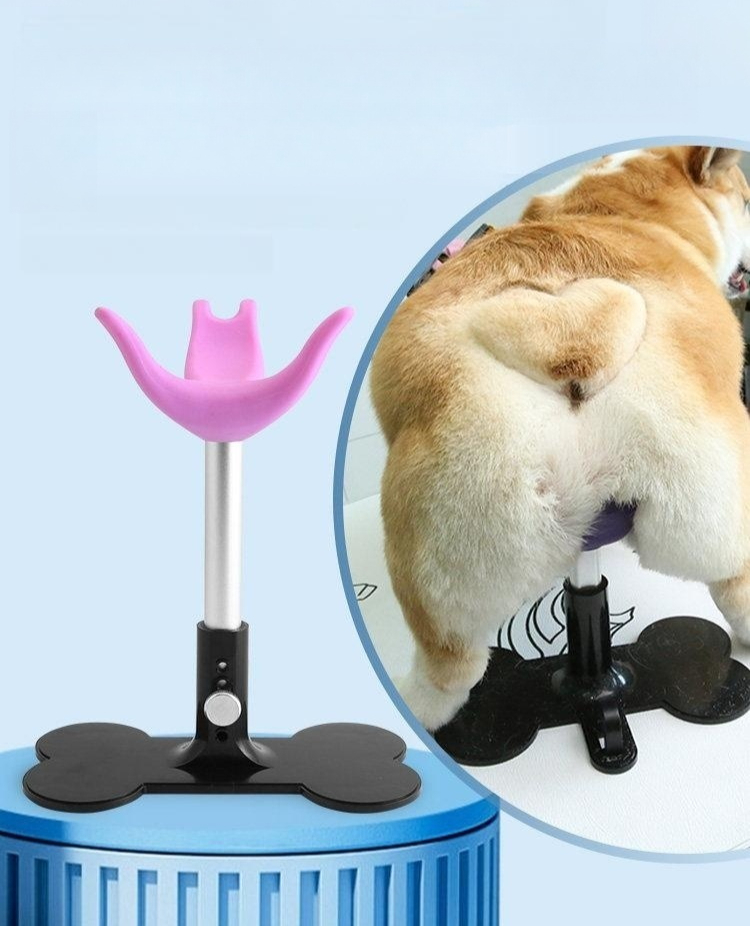 강아지 미용 거치대 소형견 반려견 손질 목욕홀더 책상 유압 동물병원 고정대 대형견 - 상품 이미지