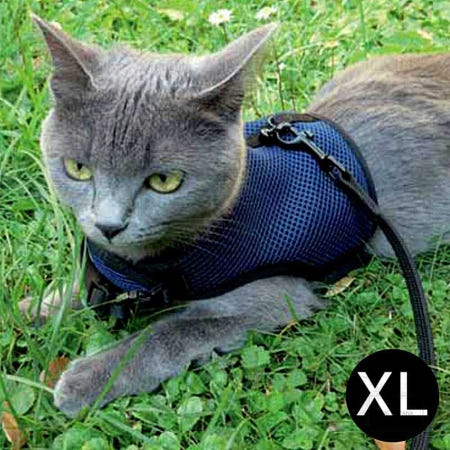 퍼프라스트 하네스 네이비 XL 조깅용 고양이 강아지 몸줄 가슴줄 리쉬