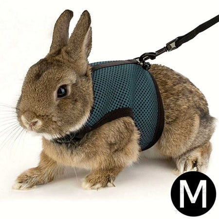 토끼 하네스 퍼프라스트 조깅 산책줄 네이비 M 소형동물용 1개입