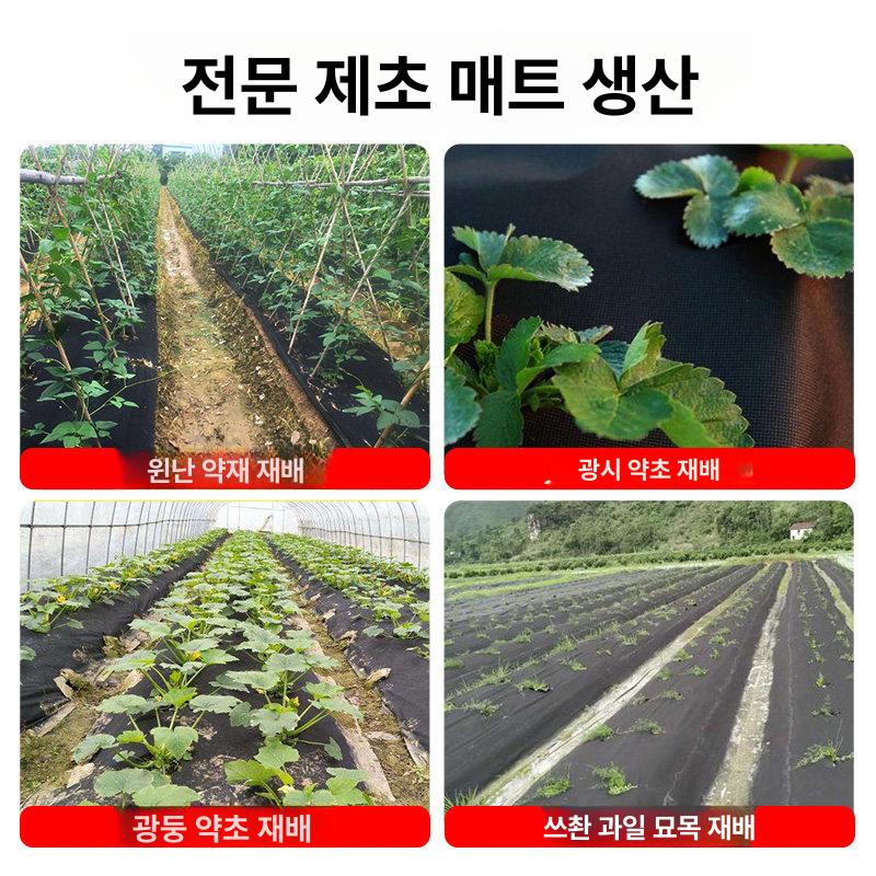 농업용 제초매트 부직포 마대형 방초시트 비닐하우스 텃밭용 신소재 잡초방지 - 상세 이미지 2