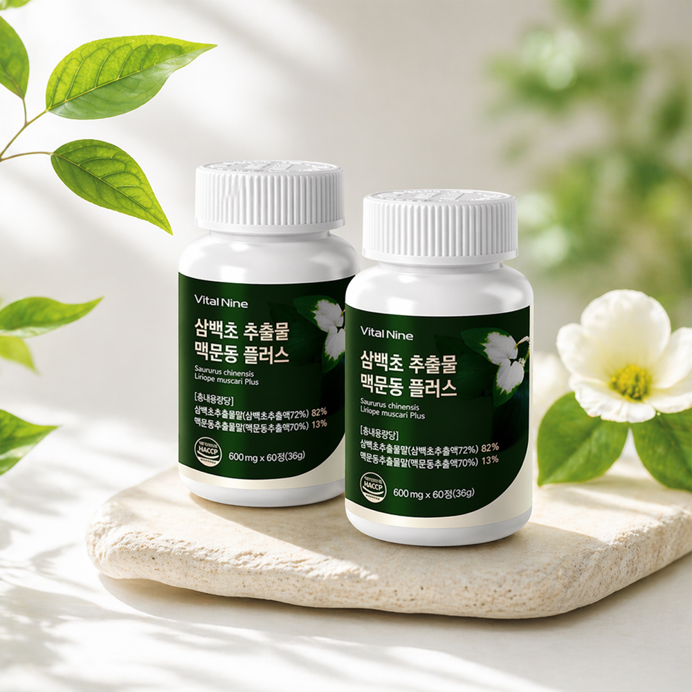 국산 삼백초추출물 퀘르세틴 삼백초 맥문동 분말 정 환 1+1 이미지 7