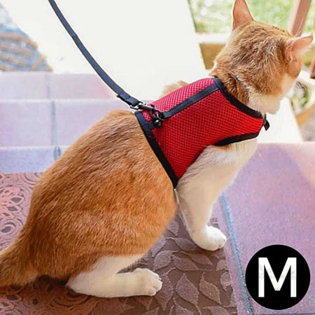 토끼 하네스 퍼프라스트 조깅 산책줄 레드 M 소형동물용 1개입