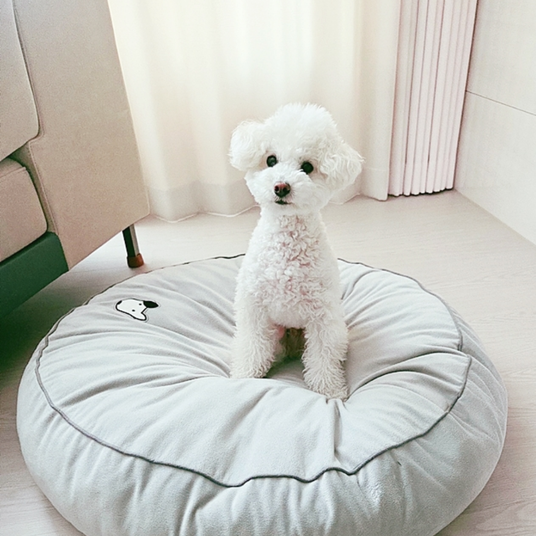 차콜프레시 참숯 탈취 매트 강아지 고양이 방석 쿠션 내부용 이미지 8