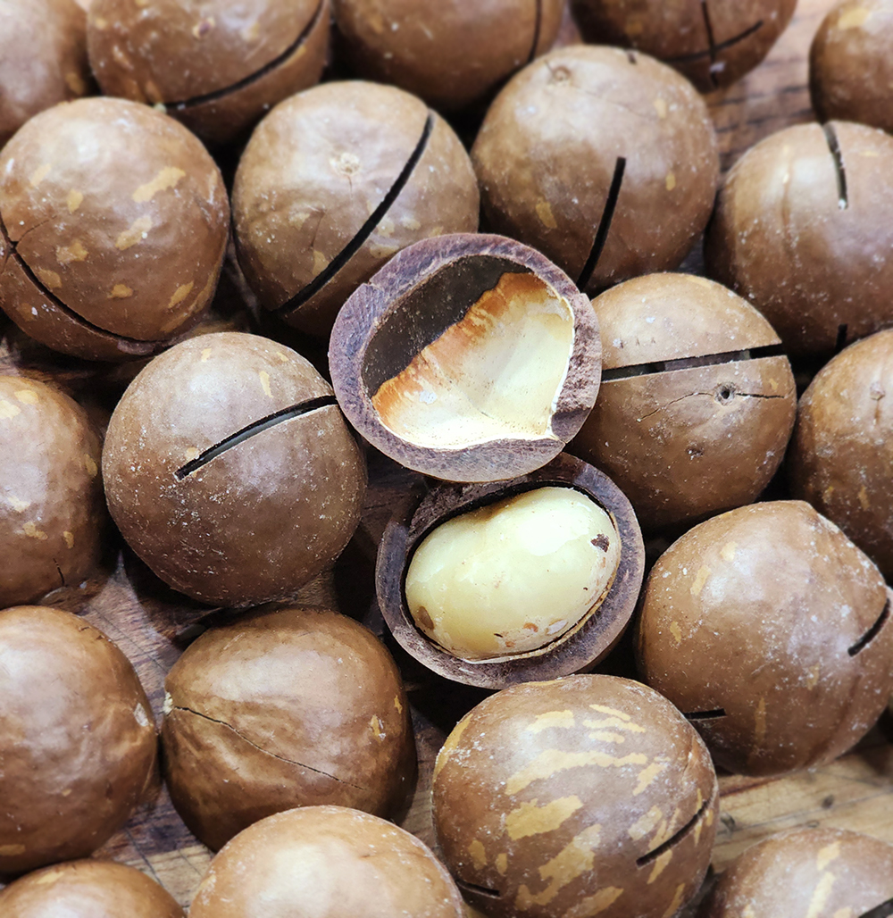 약단밤이야기 까먹는 통 껍질 마카다미아 250g, 1개 - 상품 이미지