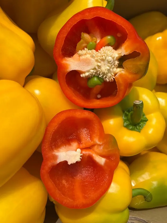 신선마켓 혼합 신선마켓 파프리카 1kg, 1개 - 상품 이미지