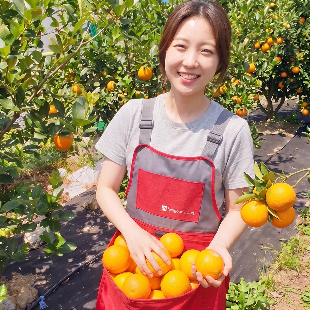 필굿리빙 수확 앞치마 캥거루 수확용 감따는 과일 원예용 농사용 고사리 농사 이미지 3
