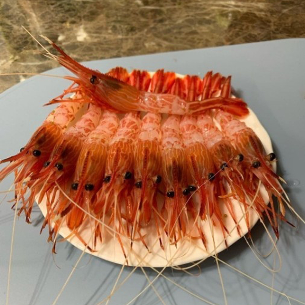 횟감 독도새우 꽃새우 도화새우 닭새우 500g-동해안 - 상세 이미지 3