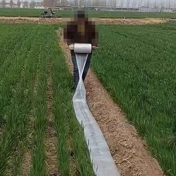 농업용 호스 비닐관 관수 배관 자재 하우스 점적관수 파이프 농수관 수도관 정리기 - 상세 이미지 4