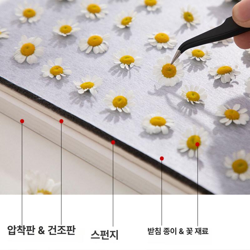 압화프레스 압화판 diy 작은 핸드메이드 압화기 재료 플라워프레스 드라이 키트 - 상세 이미지 3