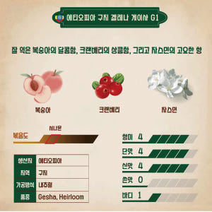 500g+500g 에티오피아 구지 겔레나 게이샤 G1 원두 커피 당일로스... 맛있게 먹은 솔직 후기 - 상품 이미지 2
