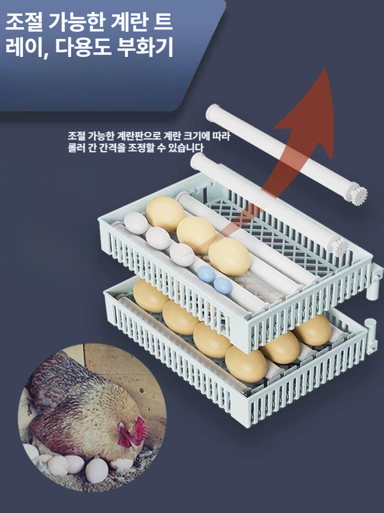 부화기 메추리 오리 유정란 계란 앵무새 닭 거위 대형 조류 달걀 부란기 전란 병아리 부하기 - 상세 이미지 5