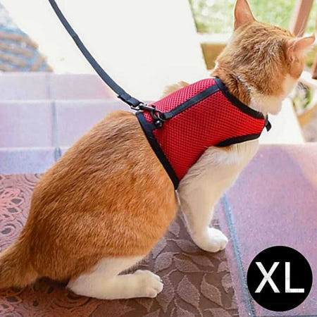 퍼프라스트 하네스 레드 XL 조깅용 고양이 강아지 몸줄 가슴줄 리쉬