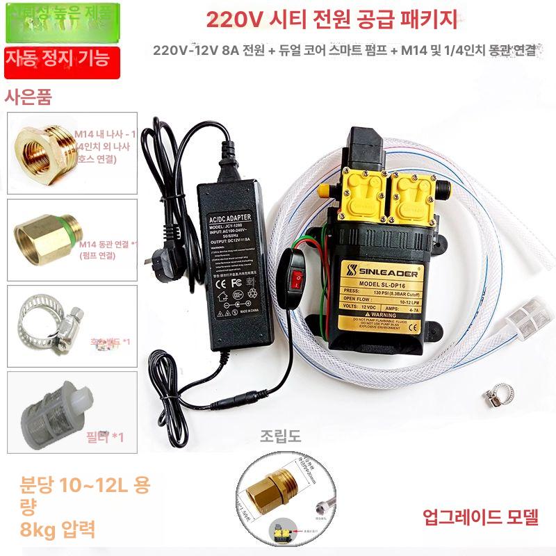 고압 농업 전기 듀얼 분당 코어 펌프 워터 분무기 12v 자동 세차 물펌프 다이어프램 - 상세 이미지 4