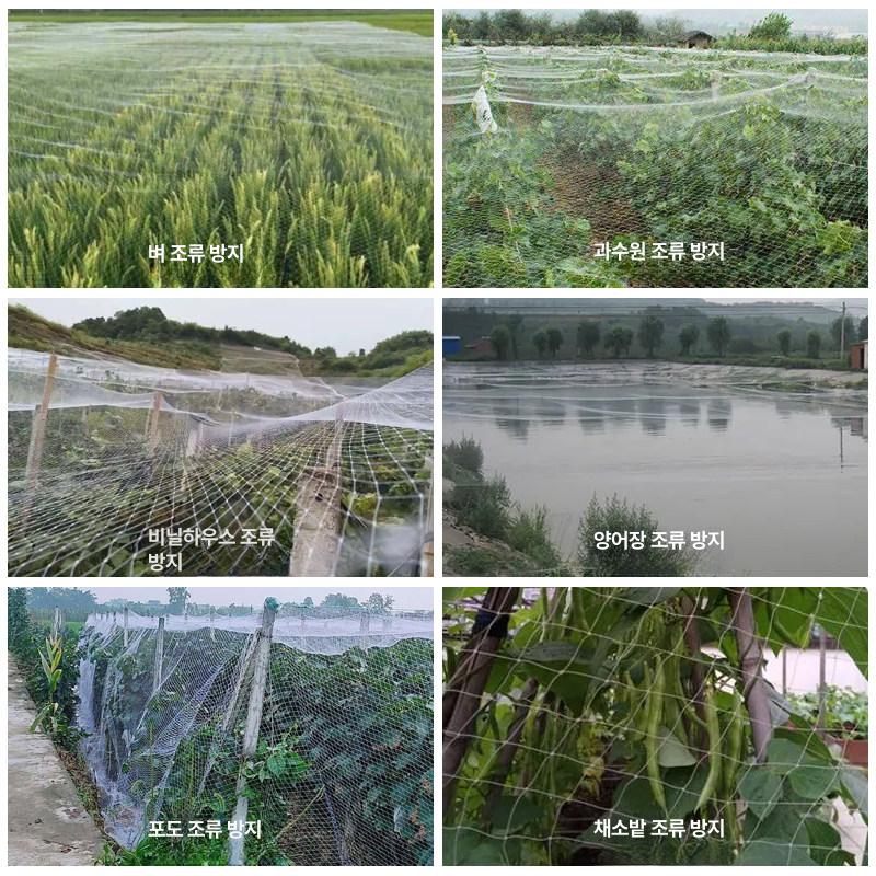 농사용그물망 텃밭 고추망 농업용 방조망 넝쿨망 고추재배망 원예 호박 - 상세 이미지 3
