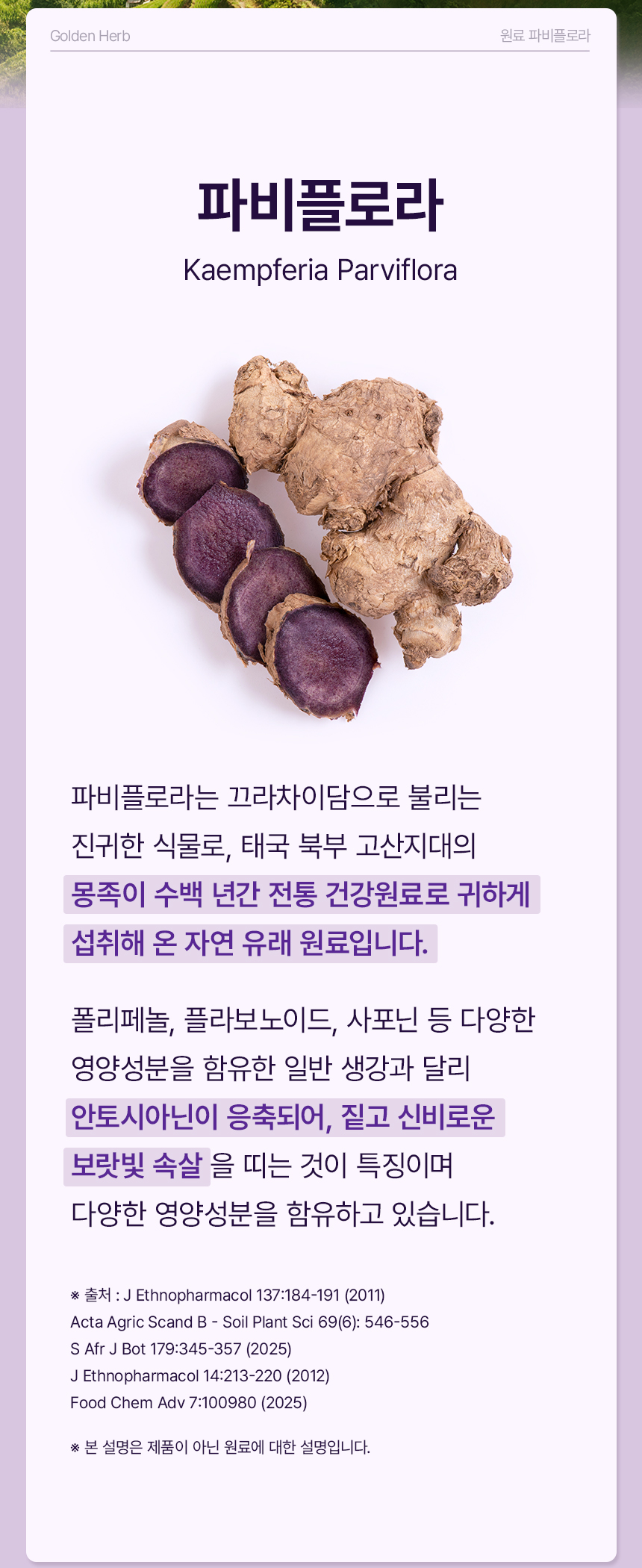 알파CD 파비플로라 고함량 알파시디 5000mg 30포, 1개 - 상세 이미지 5