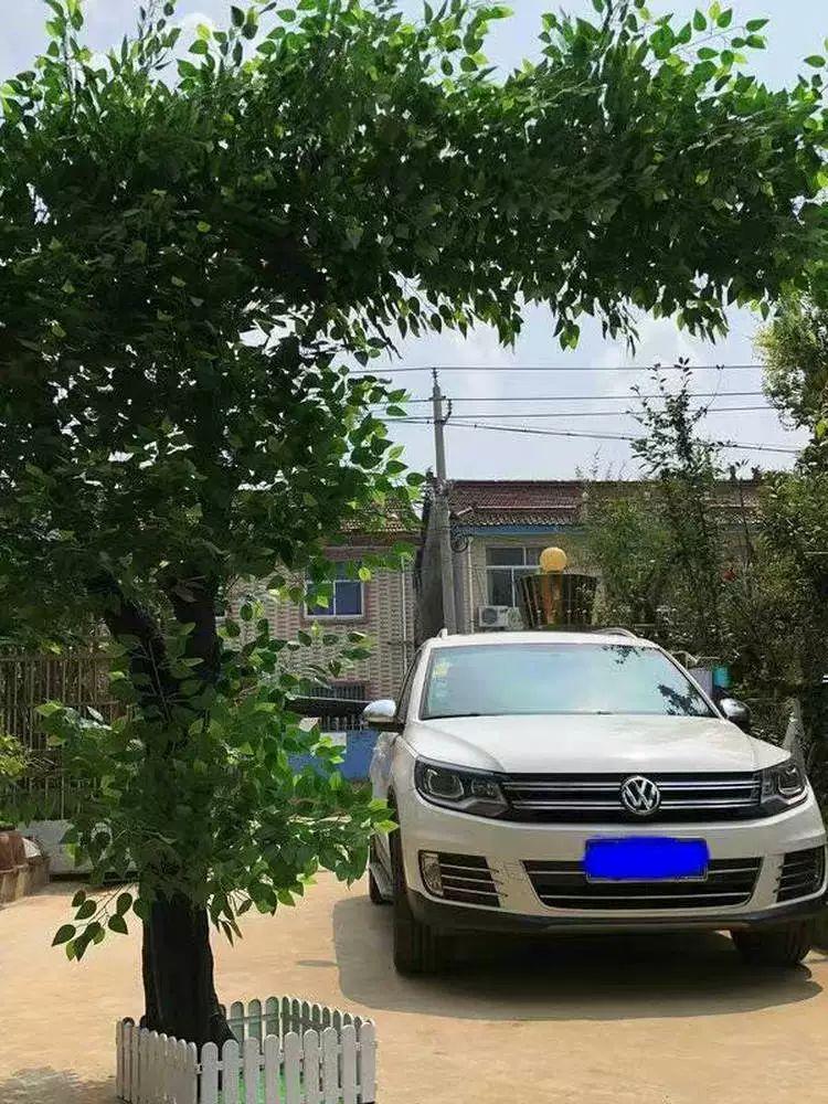 야외 대형 인조나무 포토존 꽃 실내 소품 카페 벚꽃나무 장식 조경 나무 원형 인테리어 - 상세 이미지 5