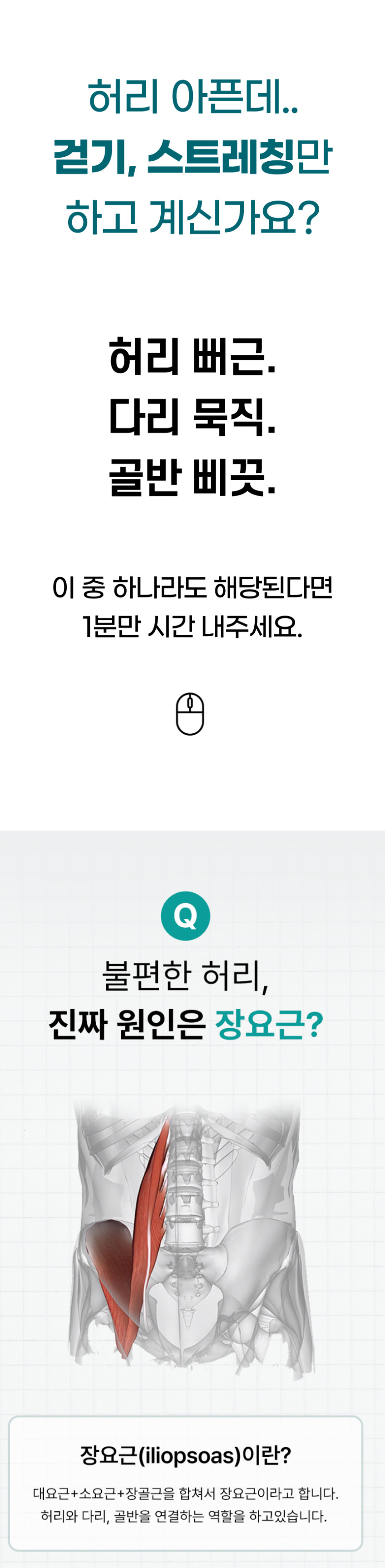 닥터장요힐 장요근마사지기 바디괄사 장요근 마사지 림프순환 판매처 상세 정보 이미지 1