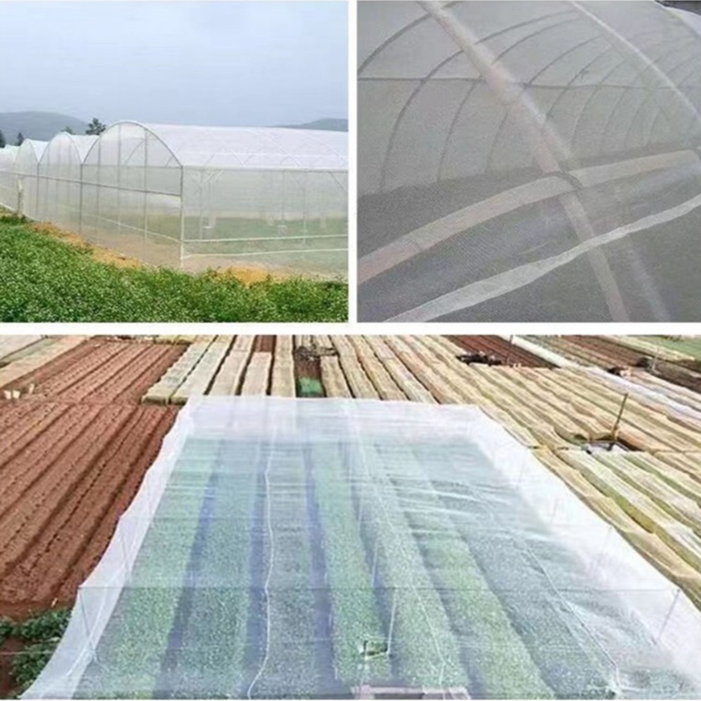 해충방지망 한랭사 2Mx20M 한냉사 방충망 벌레 농작물보호망 텃밭 주말농장 박대표마켓 - 상세 이미지 4