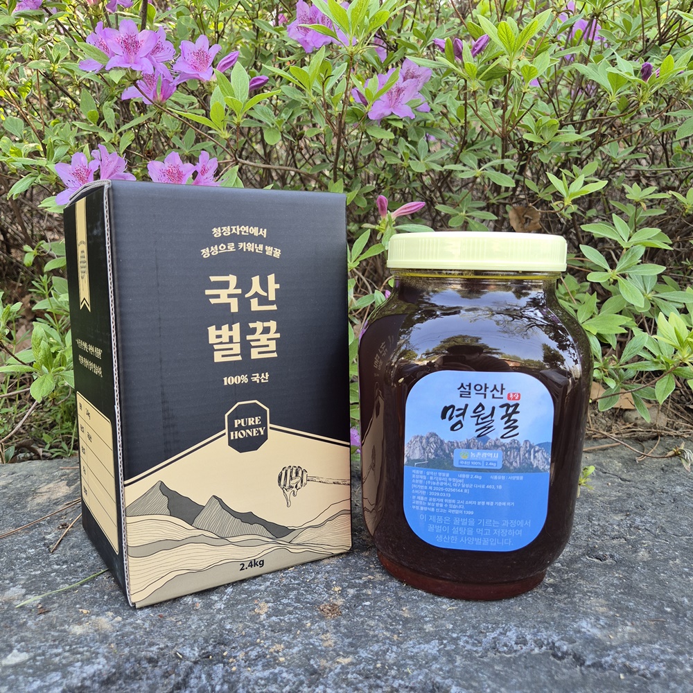 VNH 사양 밤나무꿀 2.4kg 1개 설악산 명월꿀 국산꿀 - 상품 이미지