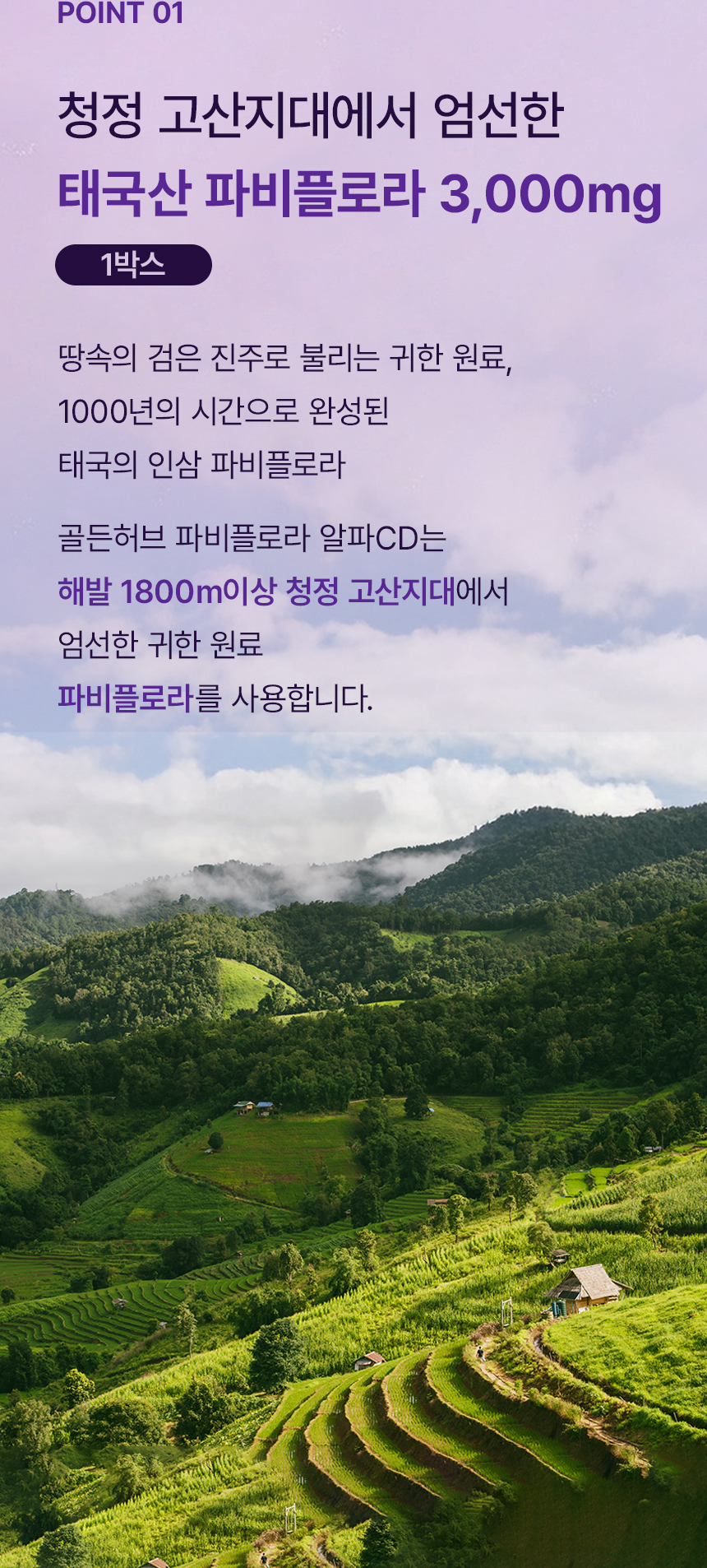 알파CD 파비플로라 고함량 알파시디 5000mg 30포, 1개 - 상세 이미지 4