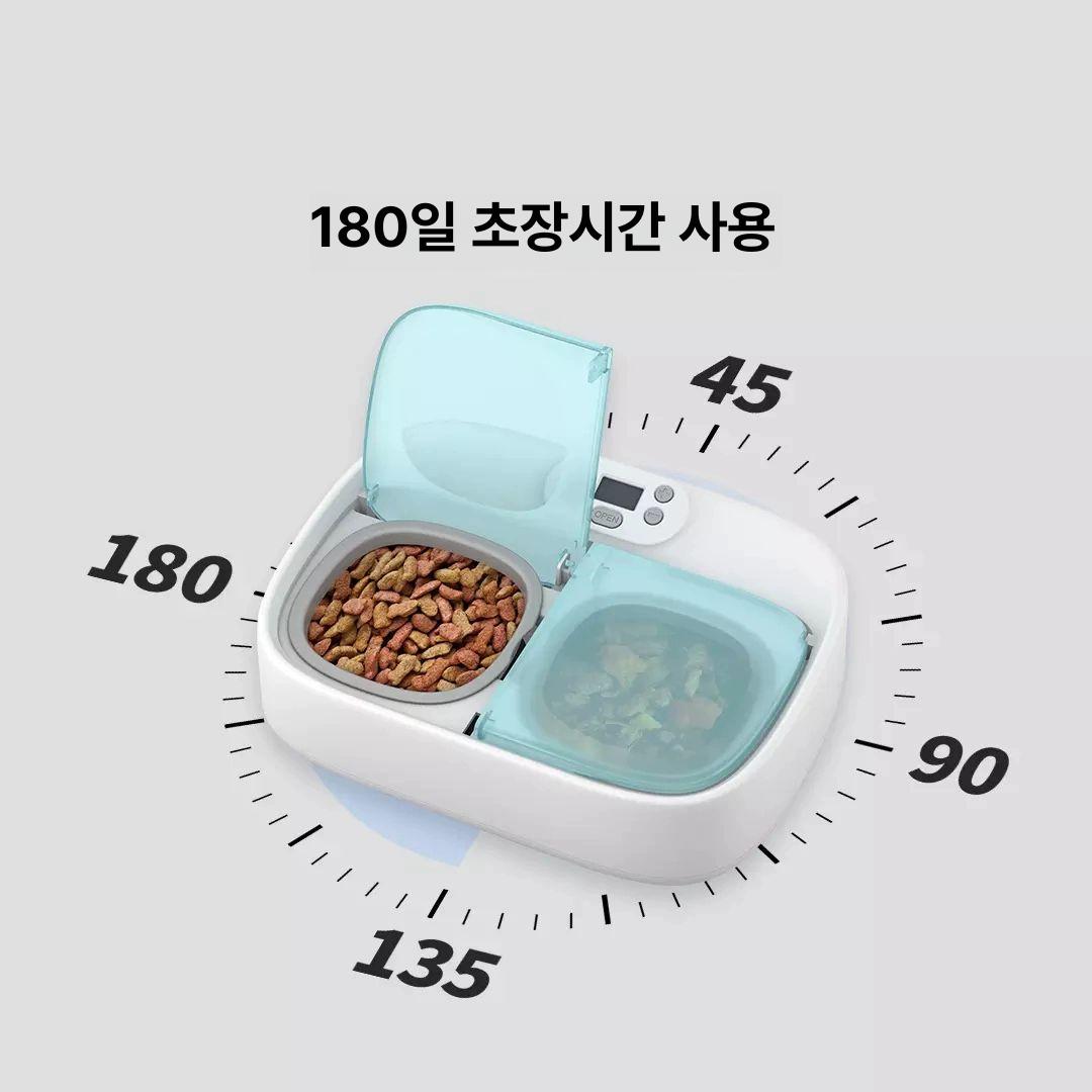 강아지 고양이 펫 용품 급식기 반려견 러그 펫도어 강아지집 애견 시공 방수 미끄럼방지 - 상세 이미지 3