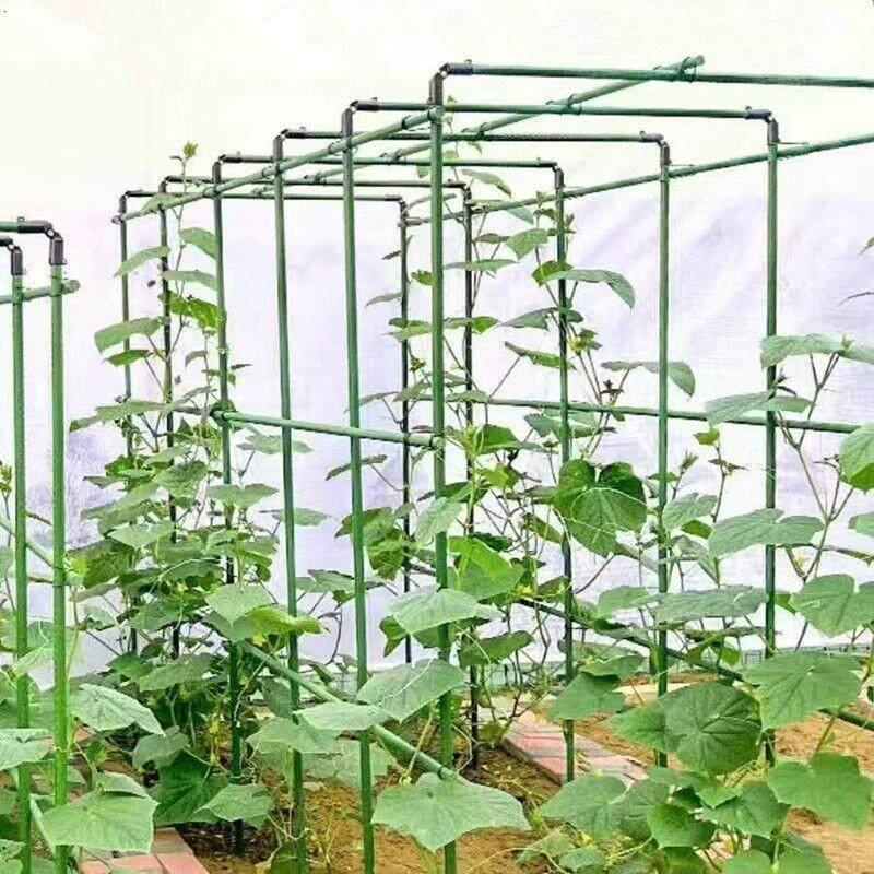 포도나무 지지대 오이 넝쿨 토마토 호박 원예 온실 콩 대형 덩굴 - 상세 이미지 2