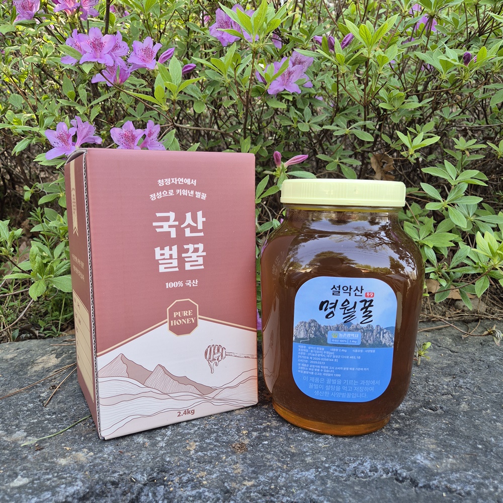VNH 사양 잡화꿀 2.4kg 1개 설악산 명월꿀 국산꿀 - 상품 이미지