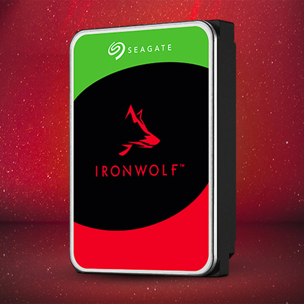 씨게이트 아이언울프 하드디스크 NAS HDD 데이터복구 Ironwolf 256MB, 4TB 상품 이미지
