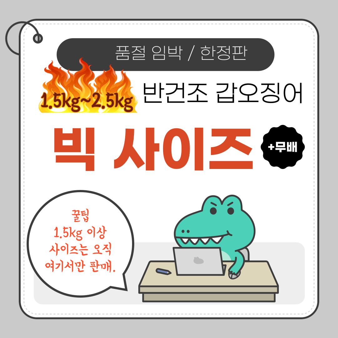 호프집 인기상품 반건조 갑오징어 대/특대 사이즈 준비 - 상세 이미지 5