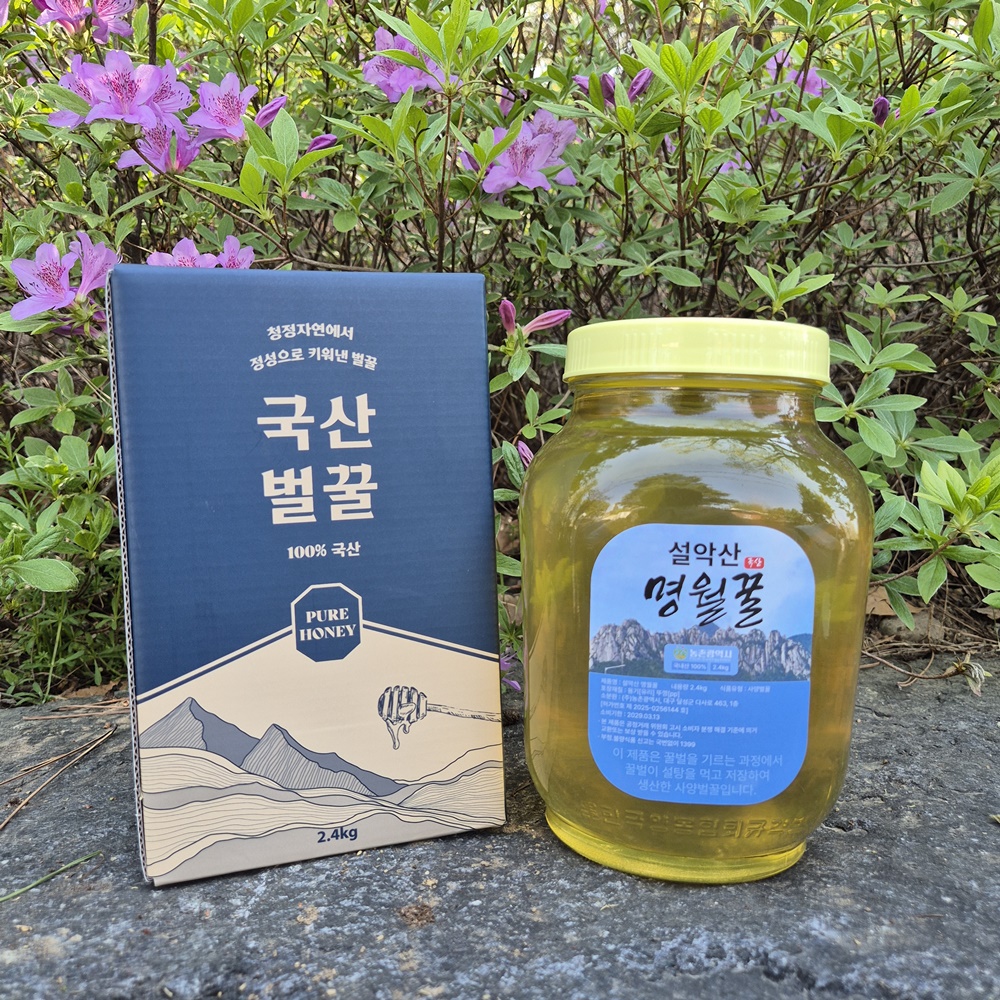 VNH 사양 아카시아 벌꿀 2.4kg 1병 설악산 명월꿀 국산 프리미엄 천연 꿀 - 상품 이미지