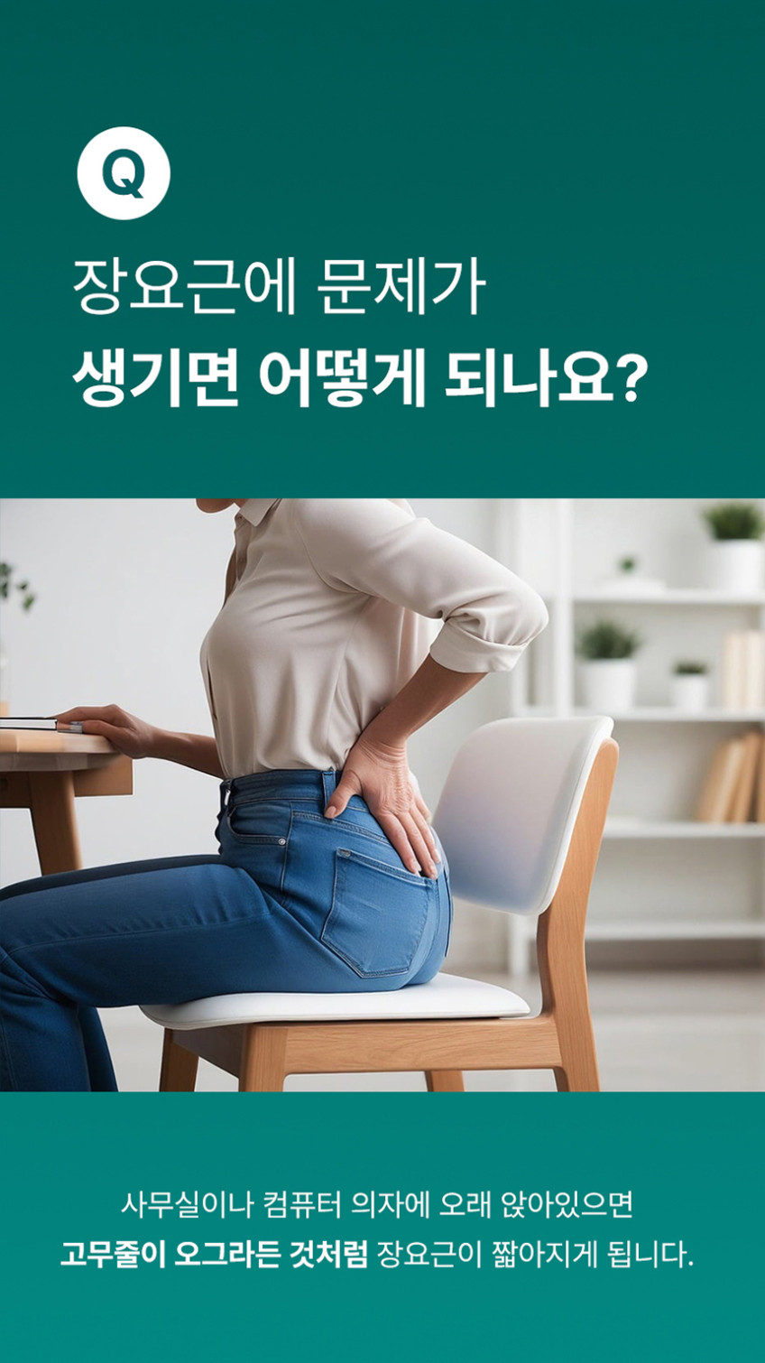 닥터장요힐 장요근마사지기 바디괄사 장요근 마사지 림프순환 판매처 상세 정보 이미지 3