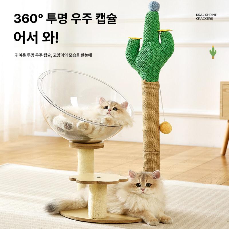 고양이 캡슐침대 아크릴 투명 반구형 여름용 반려동물 대형 놀이터 둥지 캣타워 - 상세 이미지 3