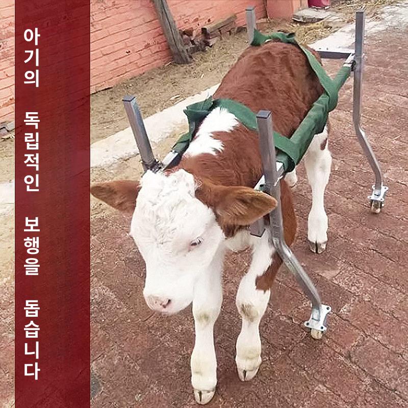 송아지 보행기 새끼 사육 연습 단일상품 스탠딩 걷기 어린소 부축 걸음 워커 축산 염소 - 상세 이미지 2