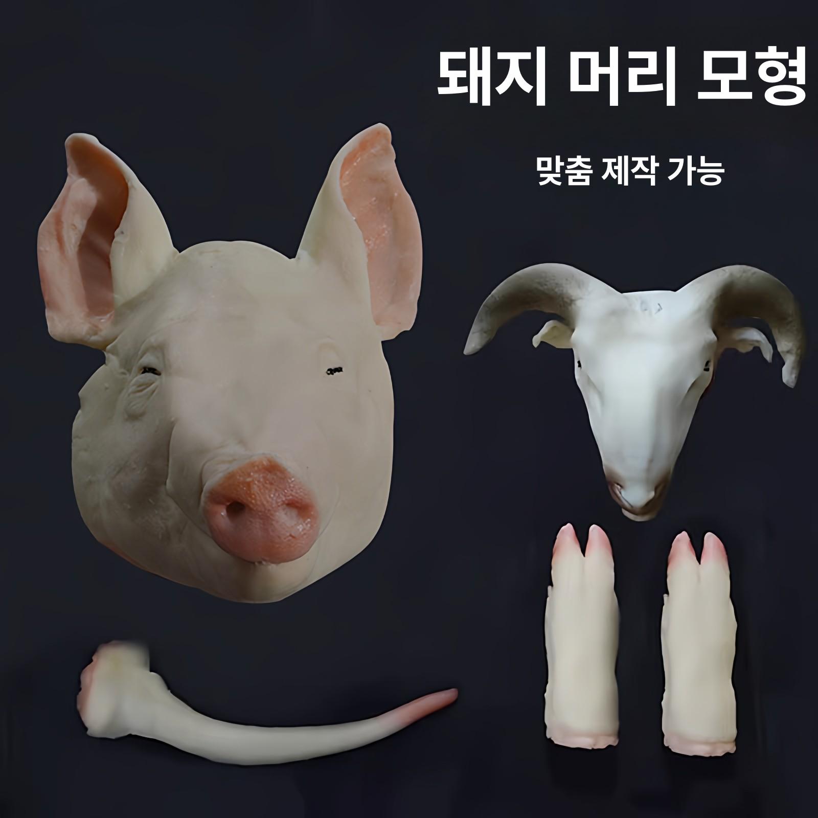 개업식 돼지머리 모형 고사용 제사 제삿상 제사상 장식품 창업 족발 소품 돼지 전시용 - 상세 이미지 3
