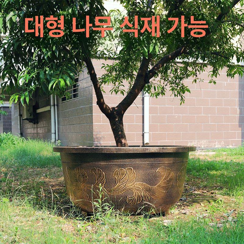 대형연꽃화분 야외수생식물 특대형수련화분 플라스틱연못화분 초대형정원수조 - 상세 이미지 2
