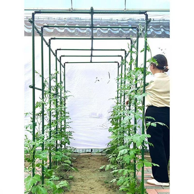 텃밭 식물 지주대 고추 용품 지지대 파이프 포도나무 - 상세 이미지 5