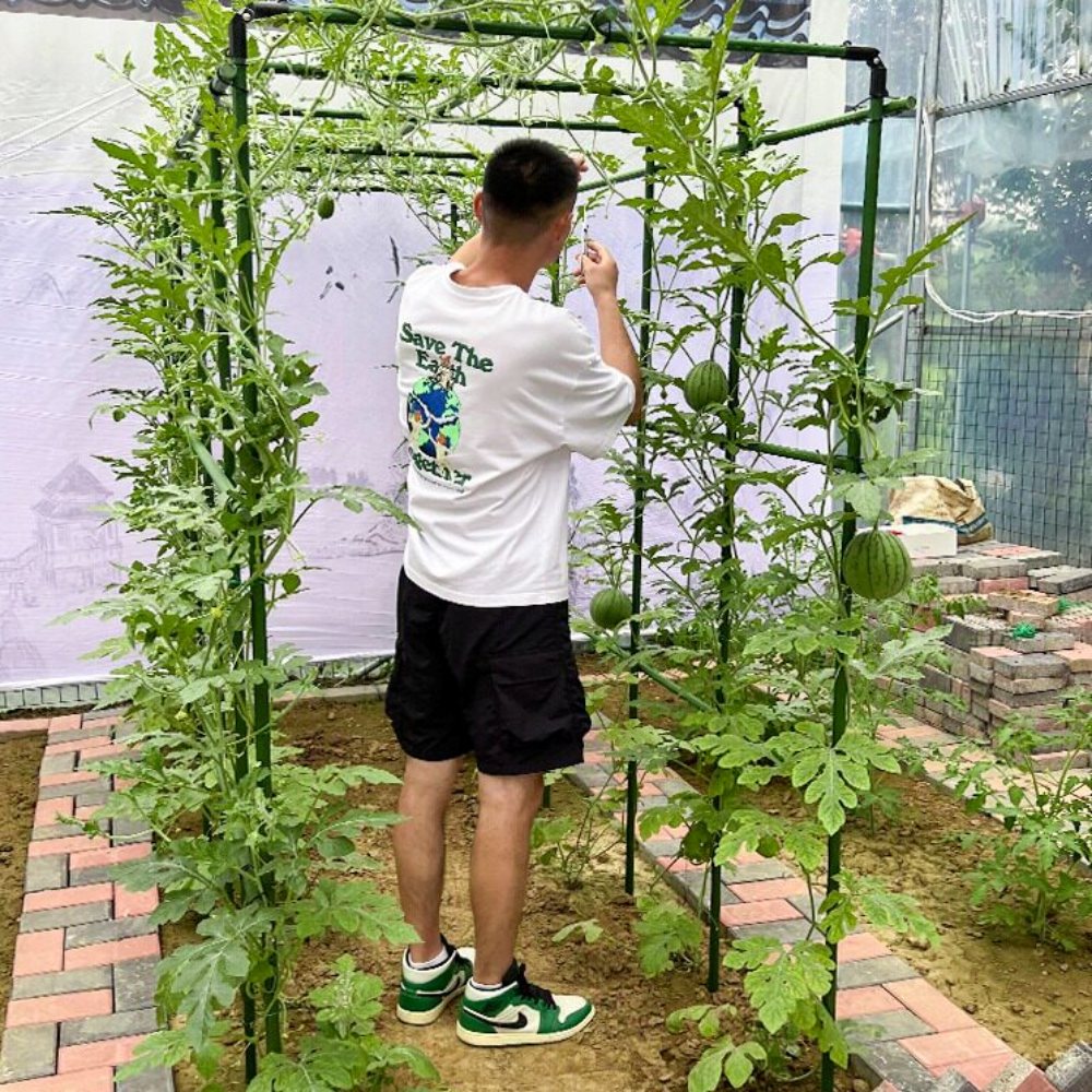 애플수박 지지대 포도나무 지주대 120x180x180 - 상세 이미지 4