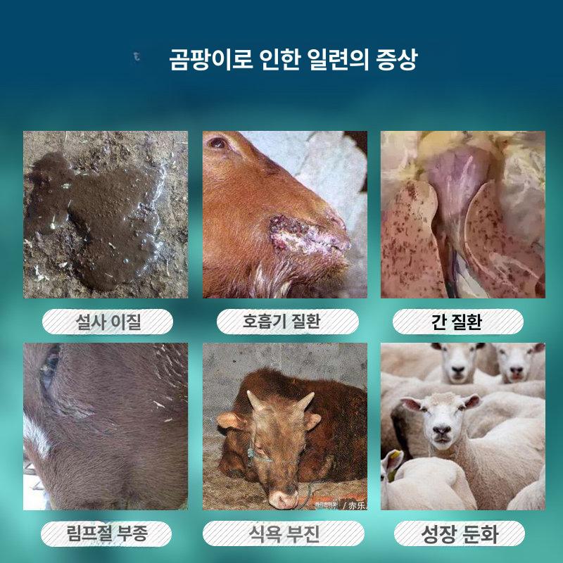 녹제거페인트 공업용 작업 현장 검정색 블랙 대용량  - 상세 이미지 3