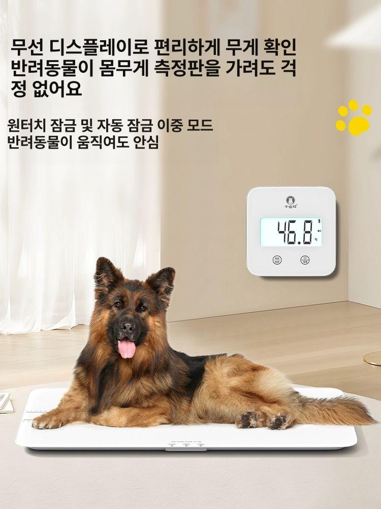 강아지 체중계 대형견 디지털 강아지체중계 정밀펫저울 고양이 전자저울 배터리다 허스키 - 상세 이미지 5