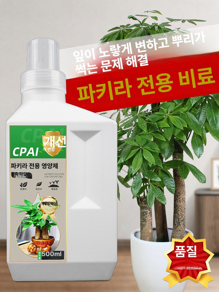 돈나무 영양제 식물 전용 황변 시듦 뿌리 썩음 발근제 - 상세 이미지 2