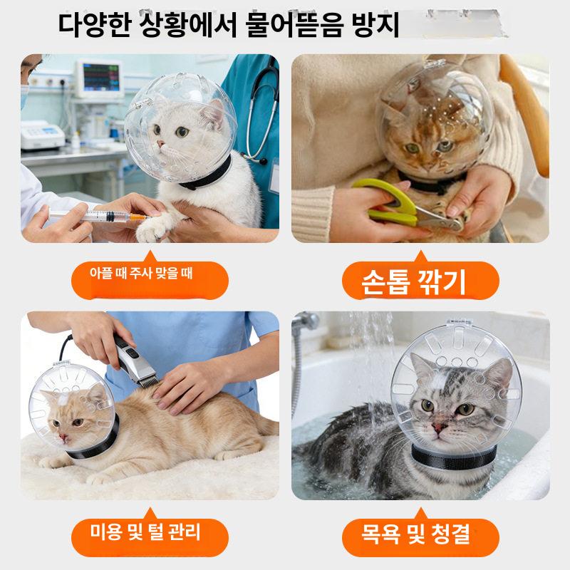 애견투명헬멧 충돌방지 노견 강아지 고양이 보호구 반려동물 - 상세 이미지 3