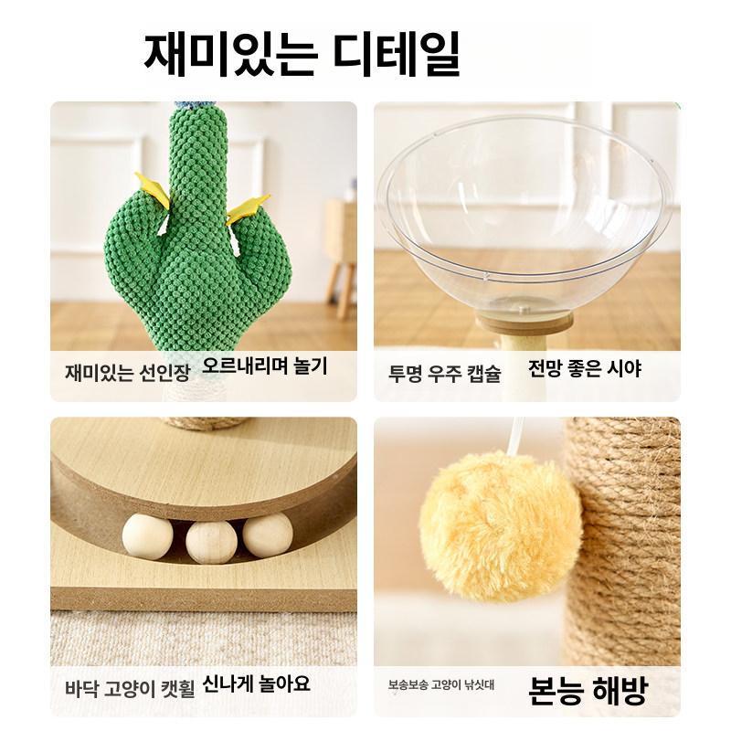 고양이 캡슐침대 아크릴 투명 반구형 여름용 반려동물 대형 놀이터 둥지 캣타워 - 상세 이미지 5