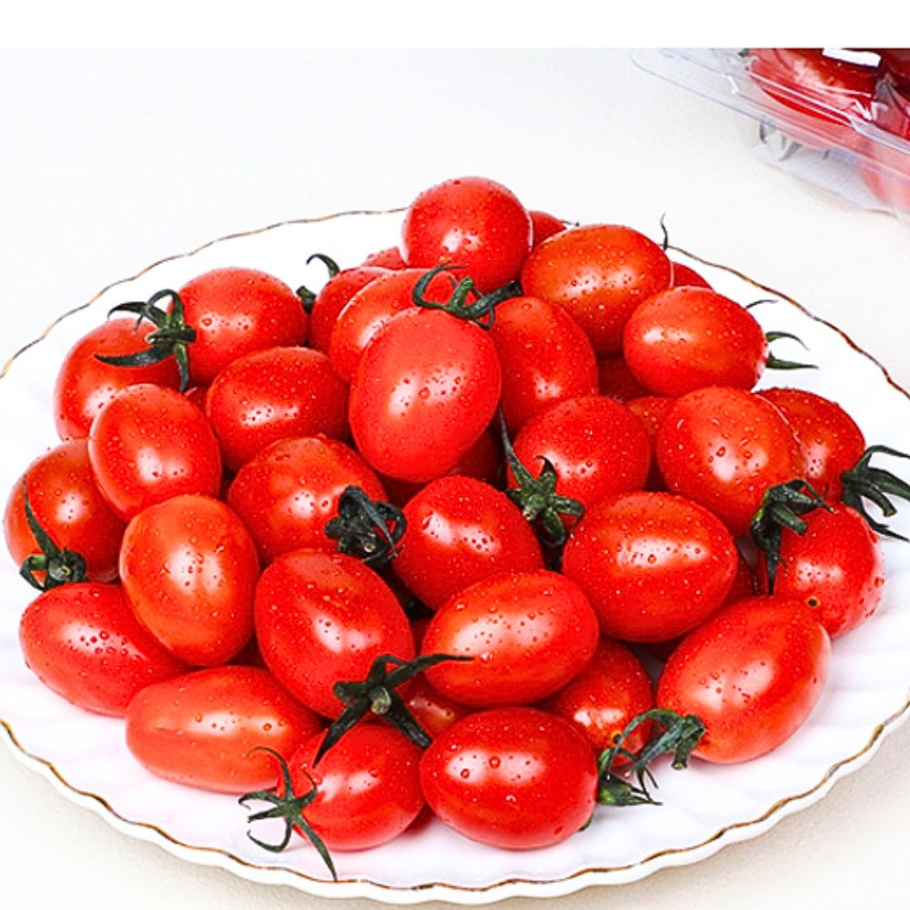 산지직송 고당도 스테비아 빙울토마토 500g+500g 이미지 7