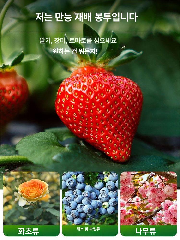 토마토 상추 식물 큰 2개 40cm 대형 화분 부직포 50 키우기 채소 새싹 꽃 고추 - 상세 이미지 2