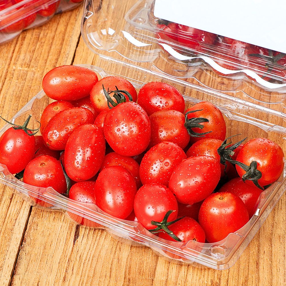 산지직송 고당도 스테비아 빙울토마토 500g+500g 이미지 8