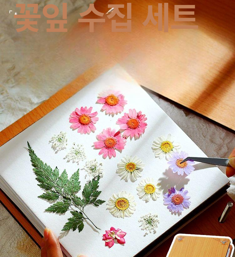압화 프레스 공예 제작도구 프레임 압화프레스 천성건화압화판압화기건화압화건조 책갈피 누르기 - 상세 이미지 2