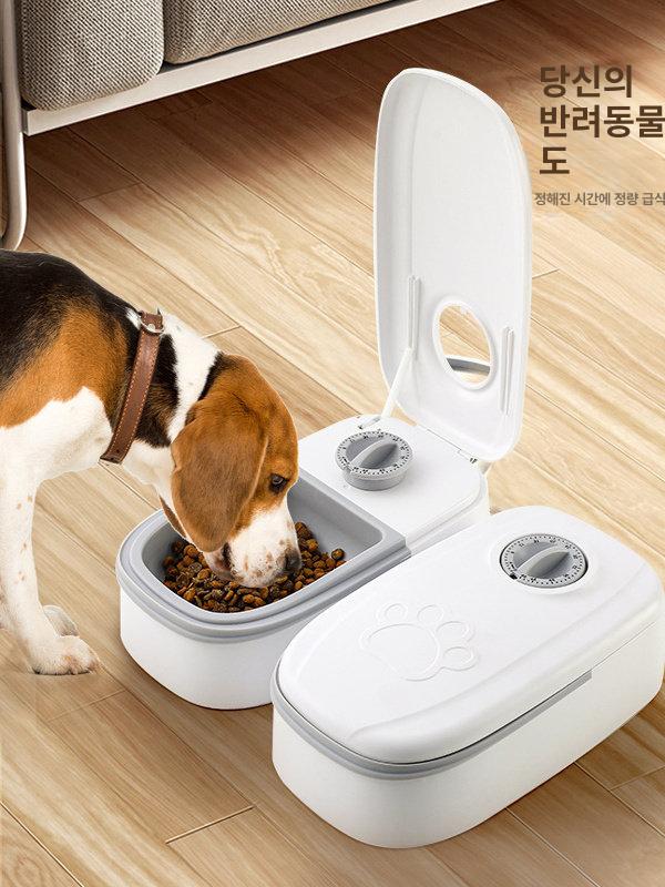 강아지 급식기 고양이 자동 애견 습식 펫지니 슈어피드 앱연동 펫 밥그릇 반자동 음성녹음 이미지 6