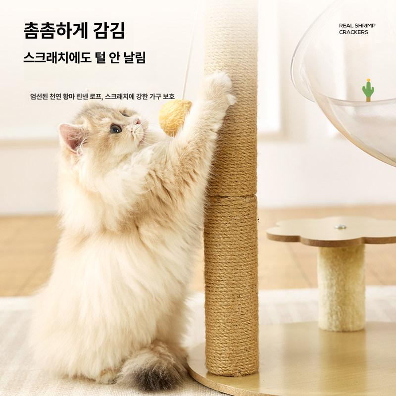 고양이 캡슐침대 아크릴 투명 반구형 여름용 반려동물 대형 놀이터 둥지 캣타워 - 상세 이미지 2