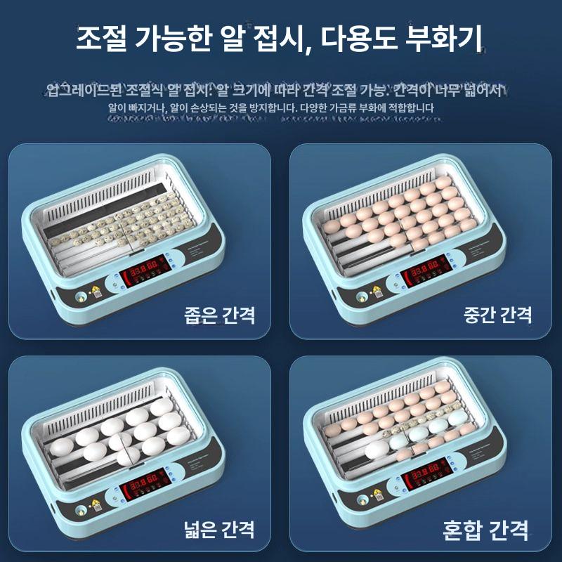자동 계란 부화기 조류 소형 인공 사육장 인큐베이터 알 온도조절 스마트 가정용 - 상세 이미지 4